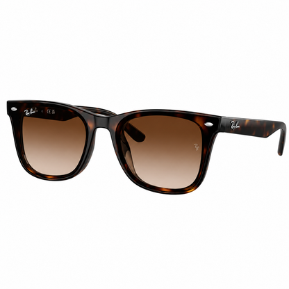 Wayfarer